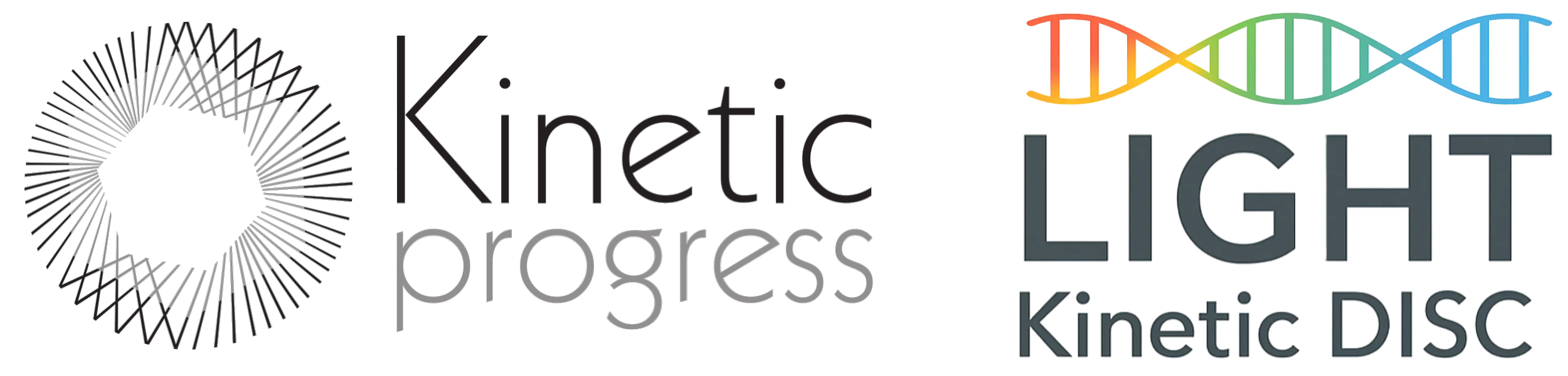 Kinetic DISC – kwestionariusz